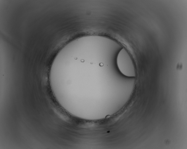 X0000096690065200802051047