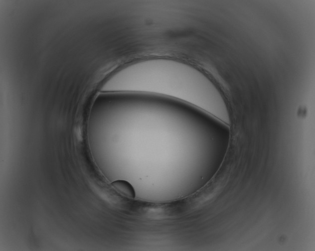X0000096690068200802051047