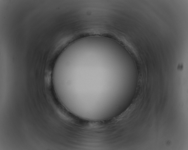 X0000096690070200802051047
