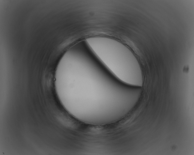 X0000096690071200802051047
