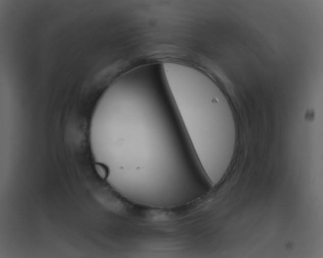 X0000096690073200802051047