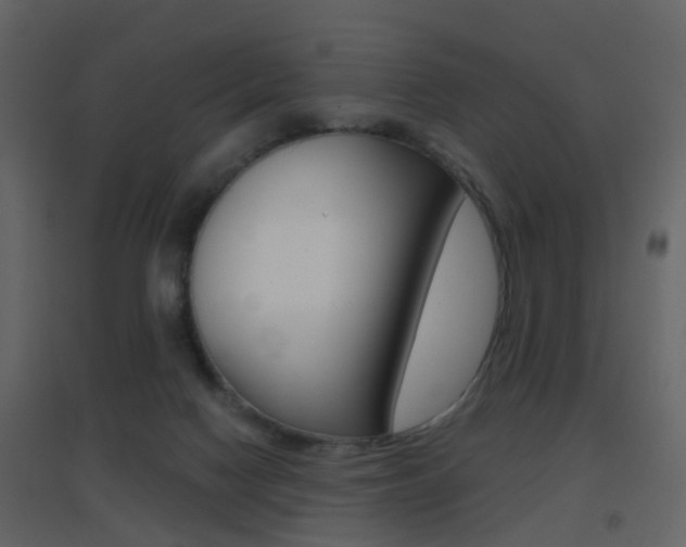 X0000096690074200802051047