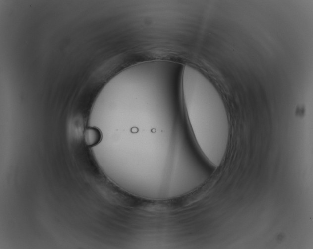 X0000096690075200802051047