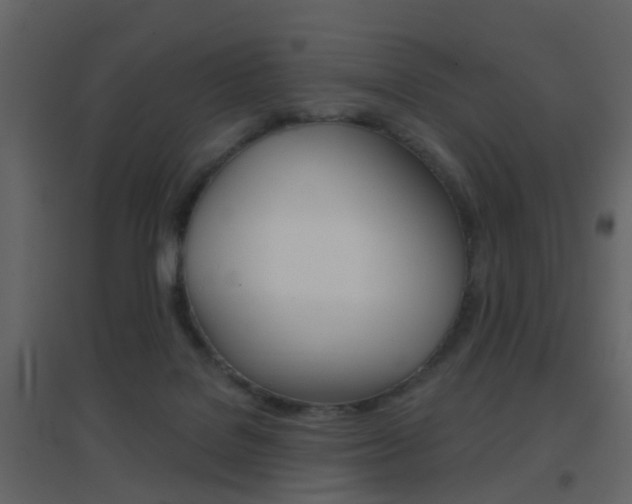 X0000096690076200802051047