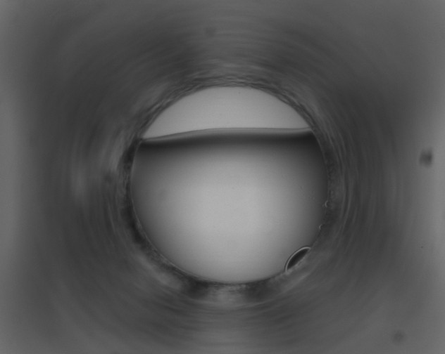X0000096690078200802051047