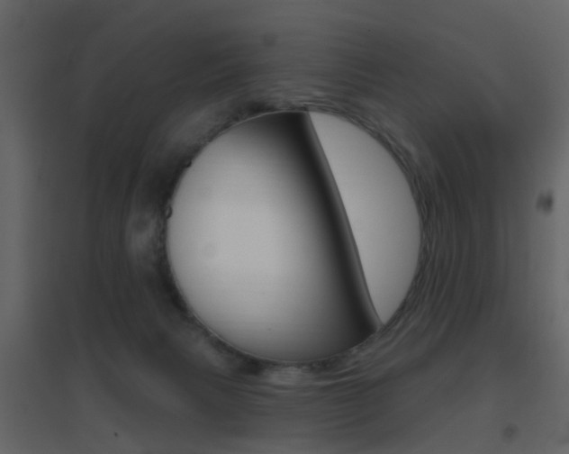 X0000096690079200802051047