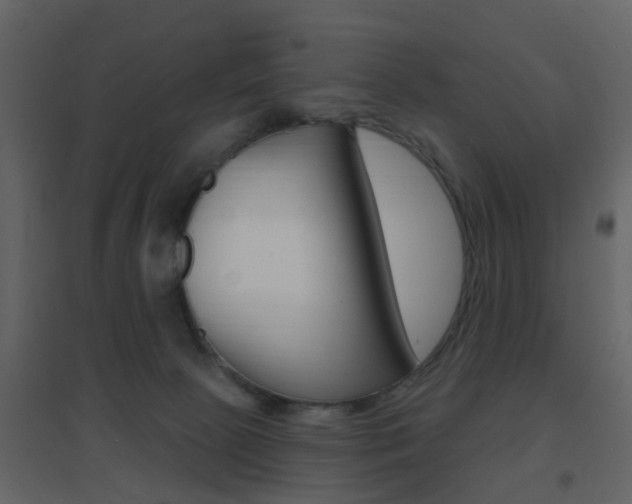 X0000096690081200802051047