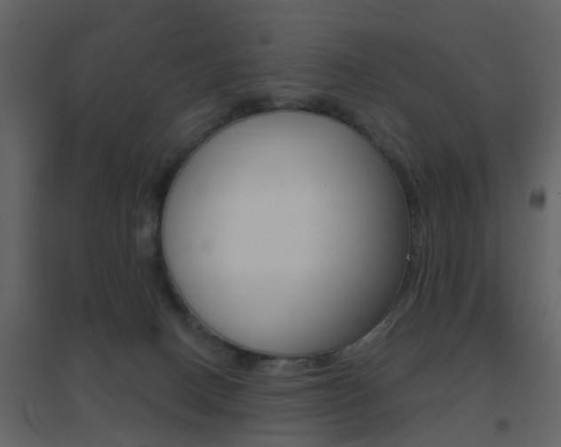 X0000096690082200802051047