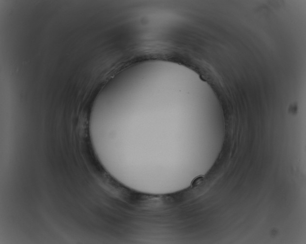 X0000096690083200802051047
