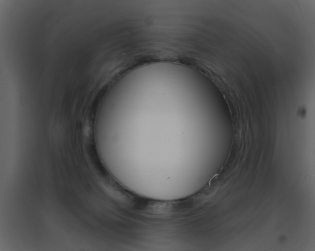 X0000096690084200802051047