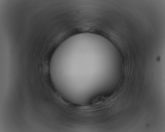 X0000096690085200802051047