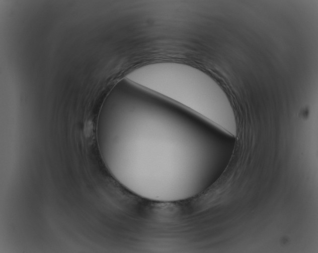 X0000096690087200802051047