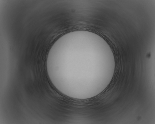 X0000096690088200802051047