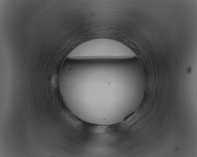 X0000096690090200802051047