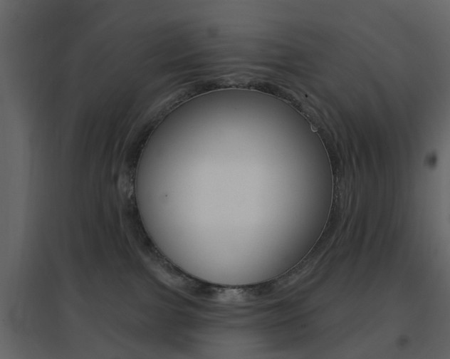 X0000096690091200802051047