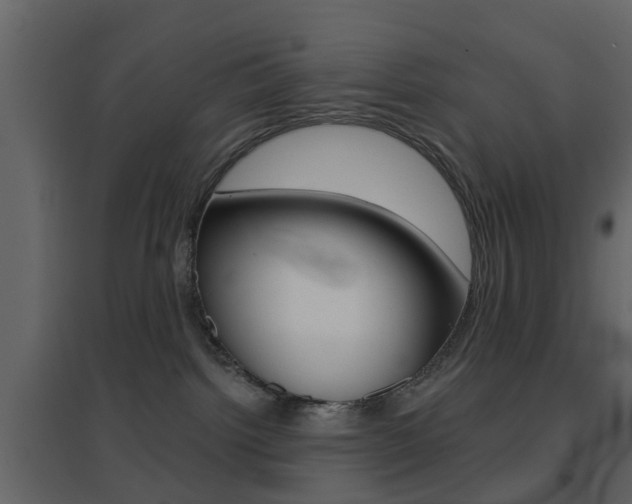 X0000096690092200802051047