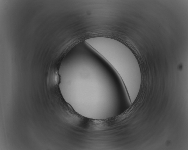 X0000096690095200802051048