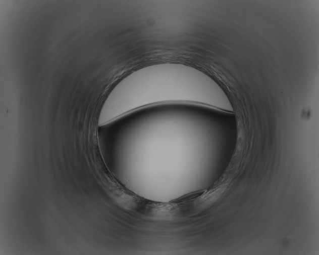 X0000096690096200802051048