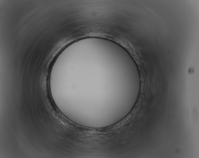X0000096690098200802051047
