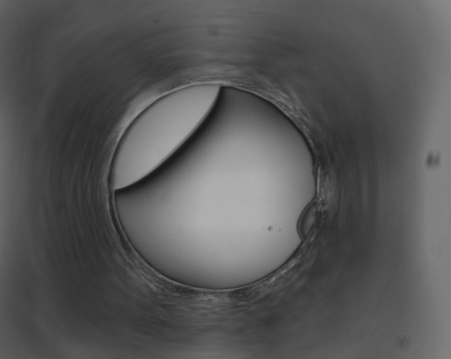 X0000096690099200802051047