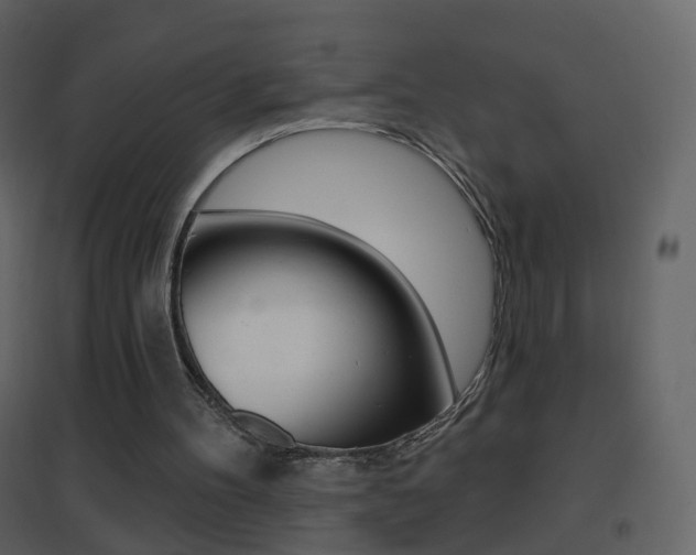 X0000096690100200802051047