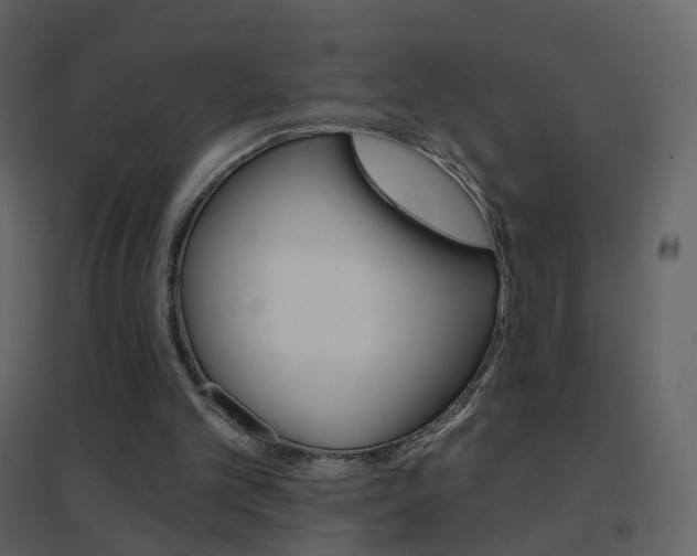 X0000096690101200802051047