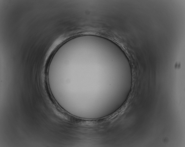 X0000096690102200802051047