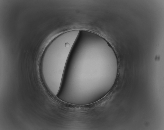 X0000096690103200802051047
