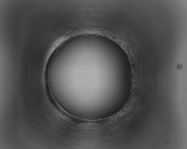 X0000096690104200802051047