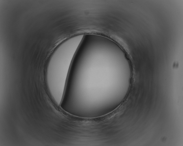 X0000096690105200802051047
