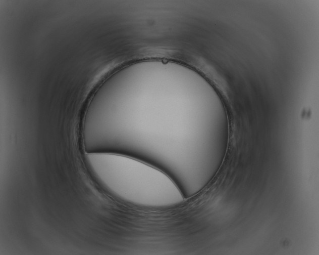 X0000096690107200802051047