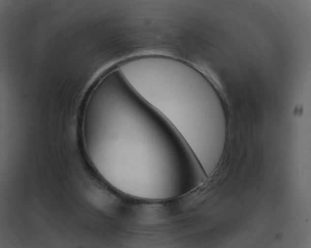 X0000096690108200802051047