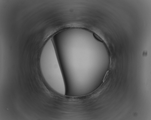 X0000096690109200802051047
