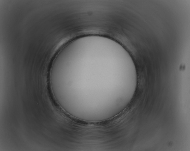 X0000096690111200802051046