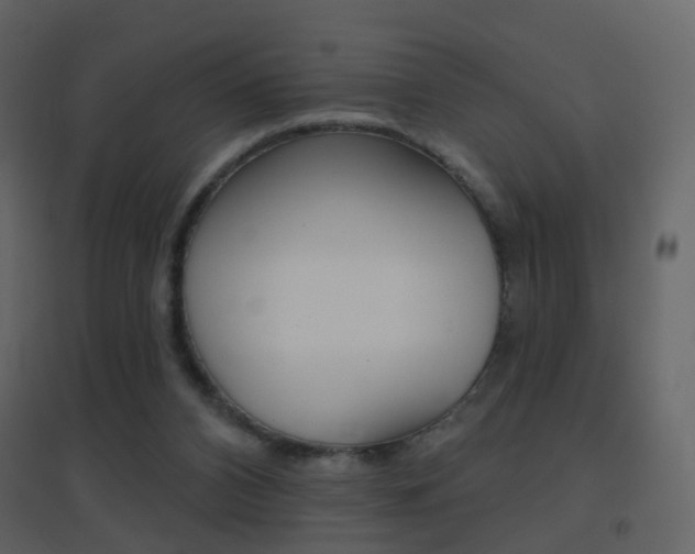 X0000096690112200802051046
