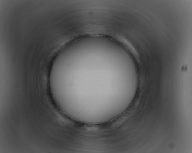 X0000096690113200802051046