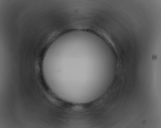 X0000096690114200802051046