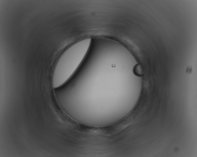 X0000096690115200802051046