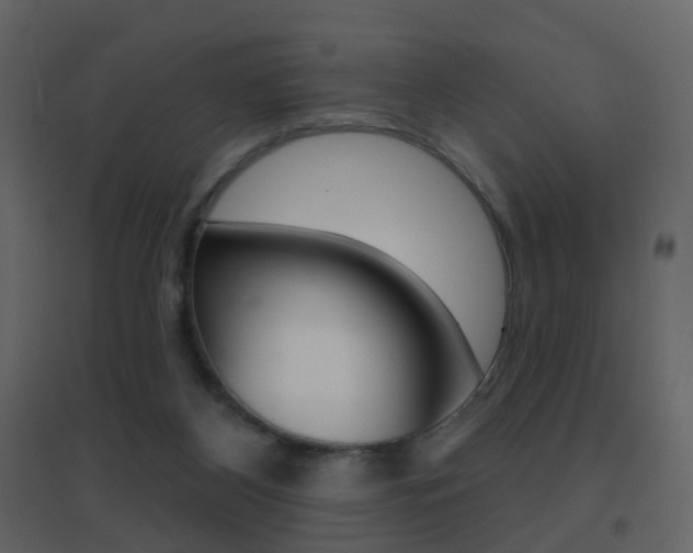 X0000096690116200802051046