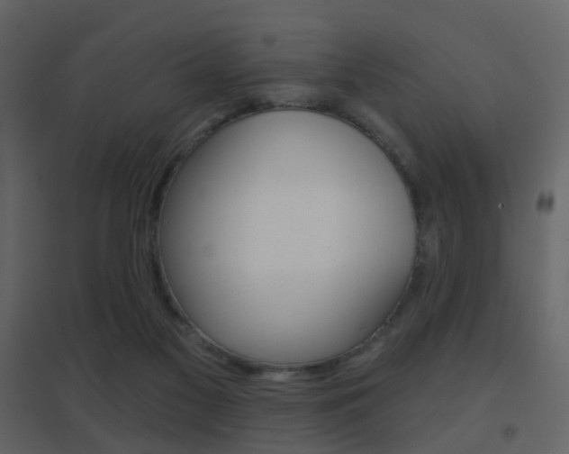 X0000096690117200802051046