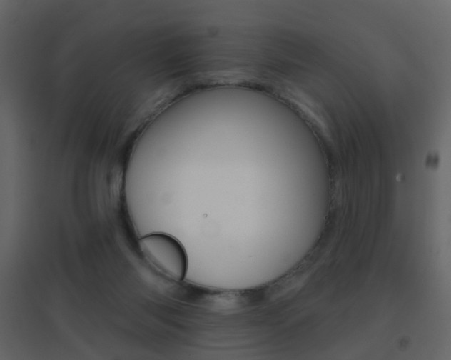 X0000096690118200802051046