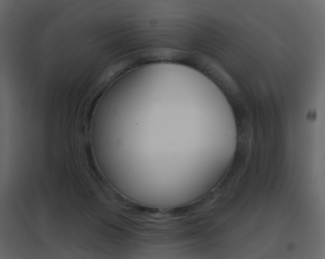X0000096690119200802051046