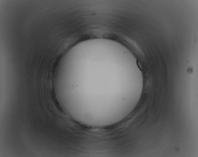 X0000096690121200802051046