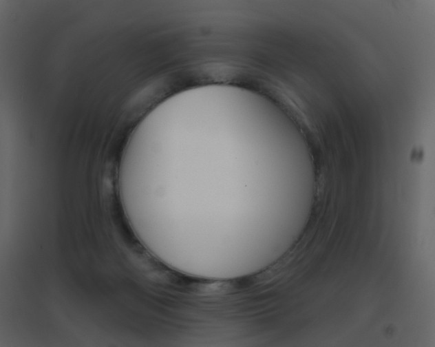 X0000096690122200802051046