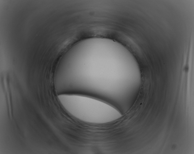 X0000096690123200802051046