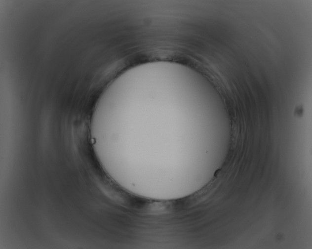 X0000096690126200802051046