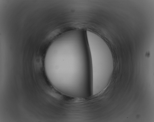 X0000096690128200802051046