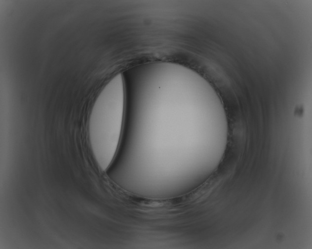 X0000096690129200802051046