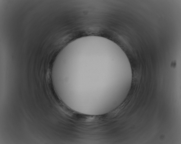 X0000096690130200802051046