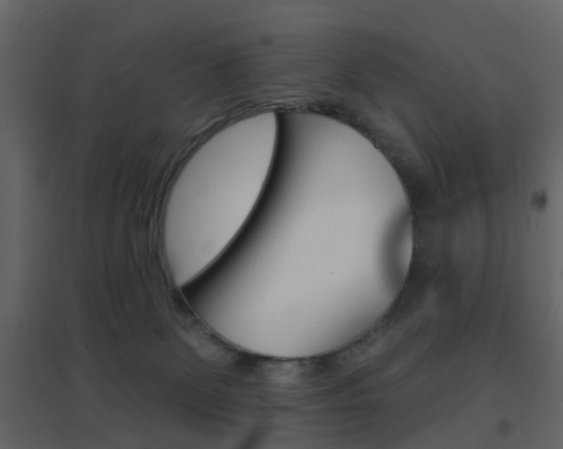 X0000096690131200802051046